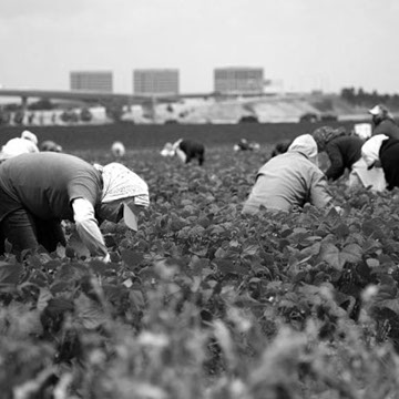Casual Labour and Subcontractor Contract Labour by Green Quarter Consulting White Rock, Surrey BC